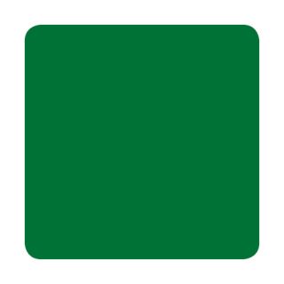 Green Dragon - Eternal Ink